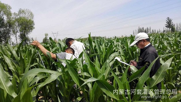 微信图片_20170625111049.jpg