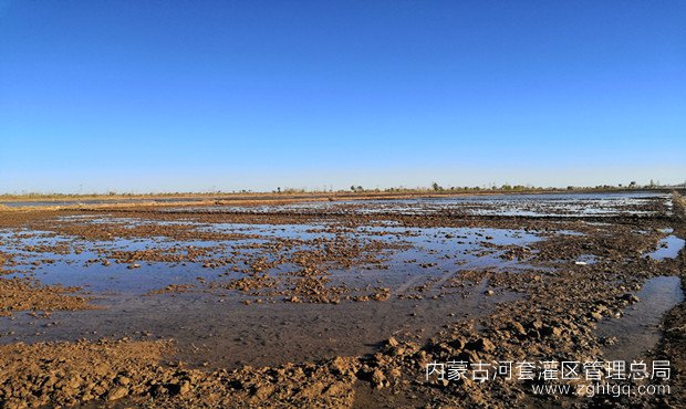 浅浇快轮 浇地效率和质量都不错_副本.jpg