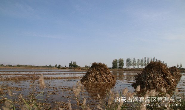 “还是赶紧先淌地哇，冬闲时间再往回拉也不害事”_副本.jpg