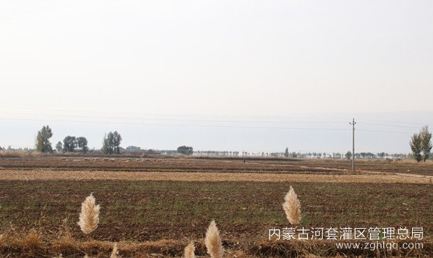 IMG_3190_副本.jpg