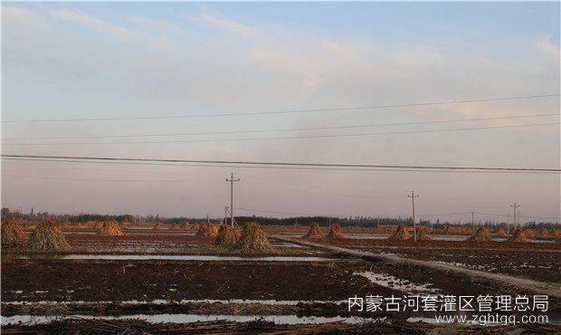 为了抢时间赶进度，实行了秸秆屯田先浇地的办法.jpg