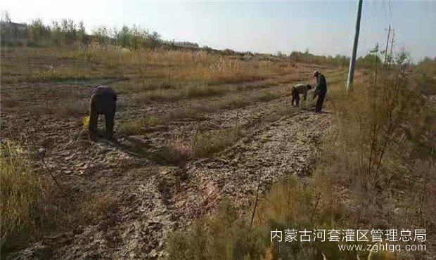 微信图片_20191029092222.jpg