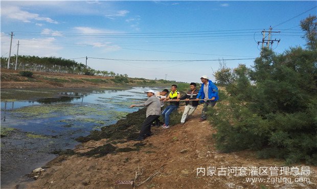 捞水草.jpg
