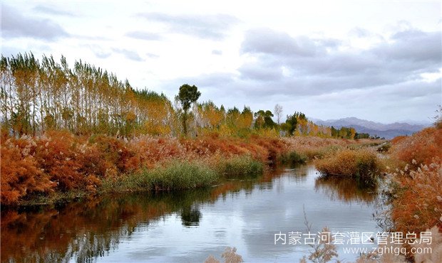 二排干秋景.jpg