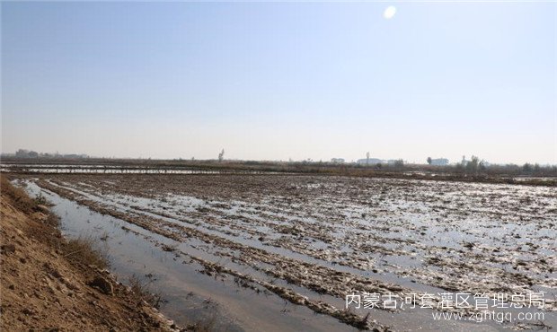 e1959b4077fc89632ea52ec1b8e199a_副本.jpg