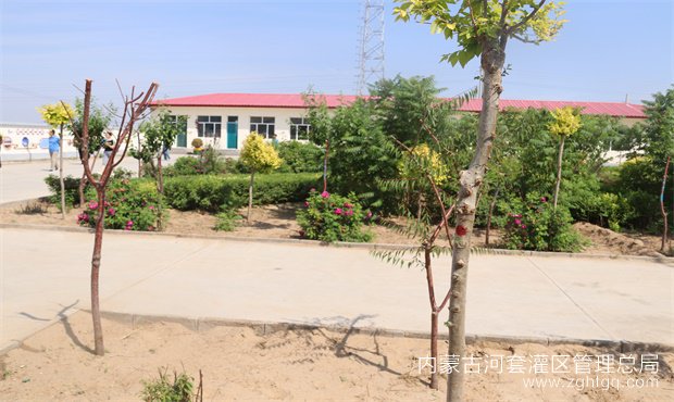 02.jpg