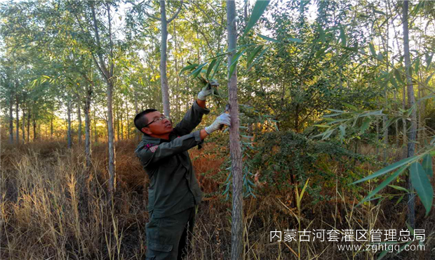 QQ图片20200113172651.png
