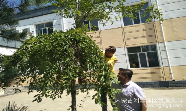 微信图片_20200708114303.jpg