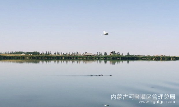 微信图片_20200827104228.jpg