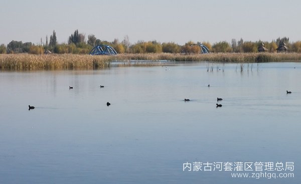 e08fa36376dd7bcec70ad9b4f7d62fc.jpg