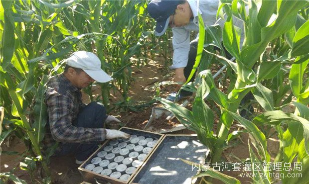 83d17a1314091f033a16d61dee7398e_副本.jpg
