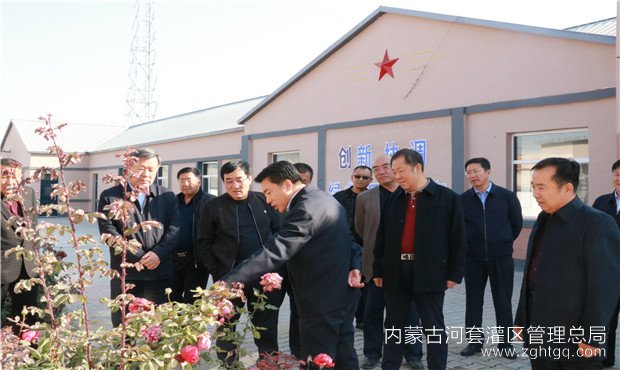 张晓兵调研.jpg