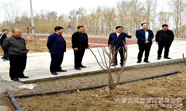 局领导指导一排干植树造林.jpg
