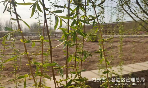 e91458ba0592150e6d011aa97f32b70_副本.jpg
