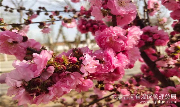 01138804f25b19f59bcd86992d92144_副本.jpg