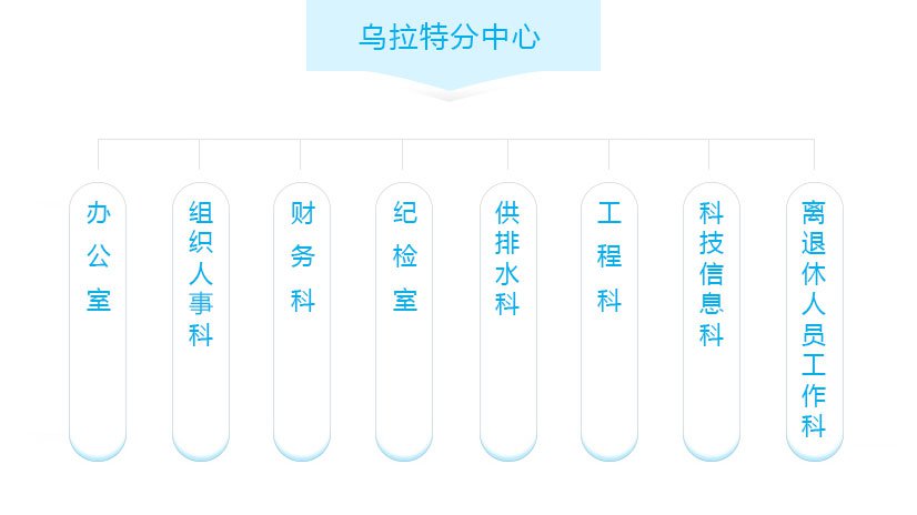 组织机构.jpg