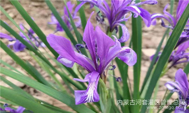 1e04366cc2d299fc2aa5614138b8922_副本.jpg