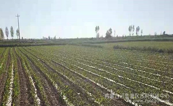 正稍10.jpg