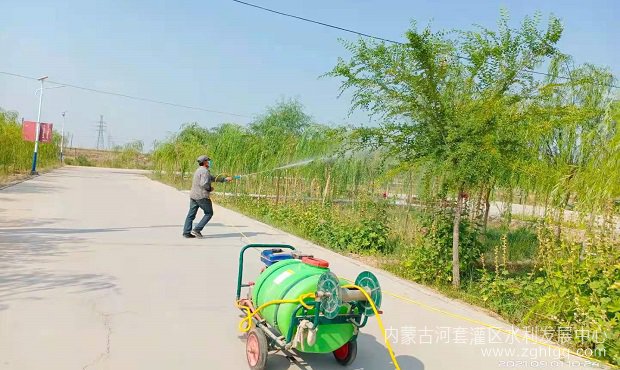 打药.jpg