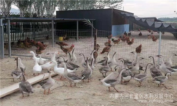 微信图片_20210825155526.jpg