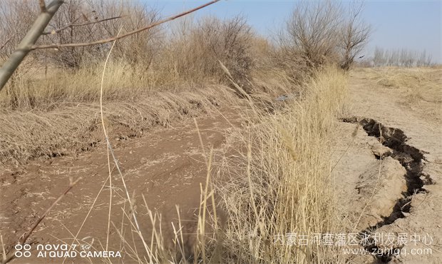 2bb29a135f01e6d9e657f2b4156464a_副本.jpg