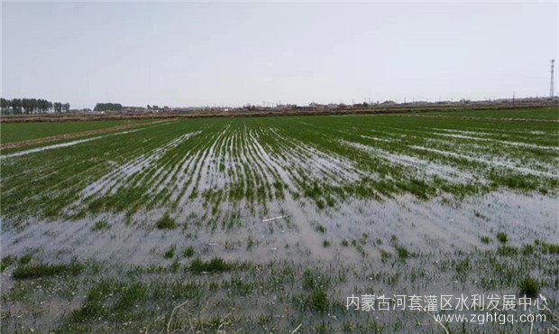 9e07e1f08202eebca745162ced49c4c_副本.jpg