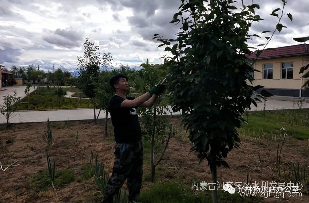 光林3.jpg