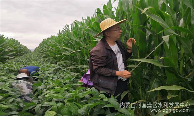 b78befd063b94b78a740bbdd17fe2c8_副本.jpg