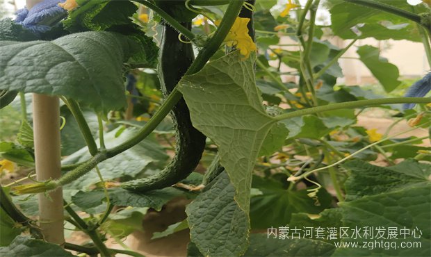 a62ada1f525f9af4cdb13f2765131d6_副本.jpg