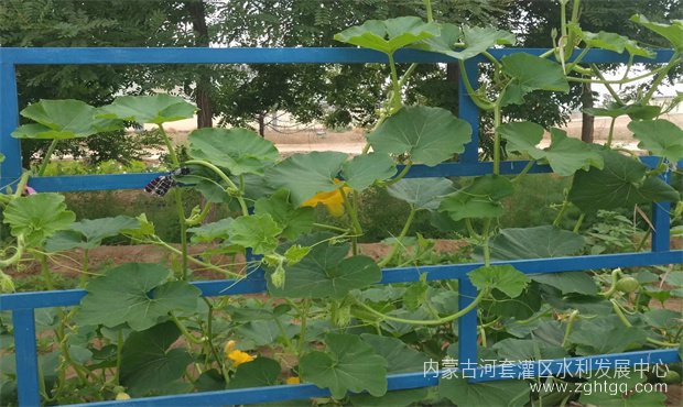 edb84ceb9f445309b1eb9f9d24dfe04_副本.jpg