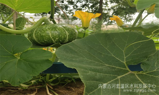 cb14e53f7ec56bb0c8e2fc8dd940c3a_副本.jpg
