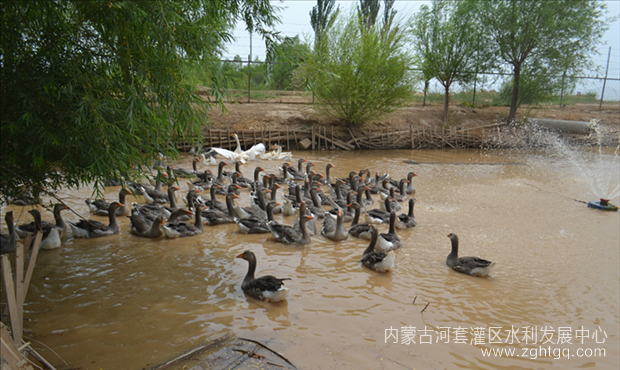 图片4_副本.png