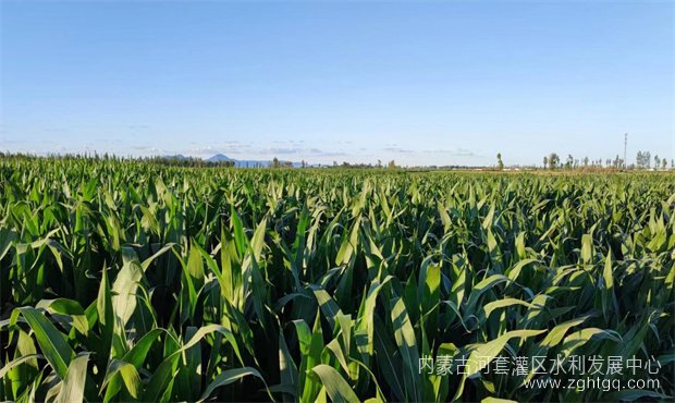 c6c910bc82288d9fa8c42996861071b_副本.jpg