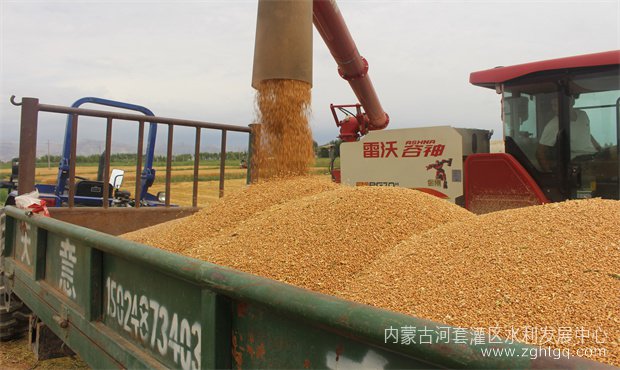 8c9e3f8831514feccb1a3608bdeb8ae_副本.jpg