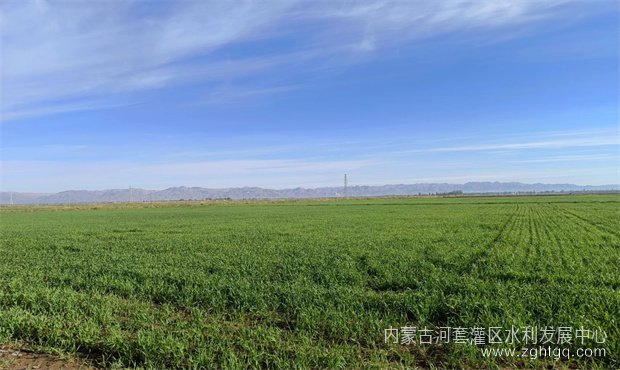 921e7c108fa3af9ba0b796ddcf35d16_副本.jpg