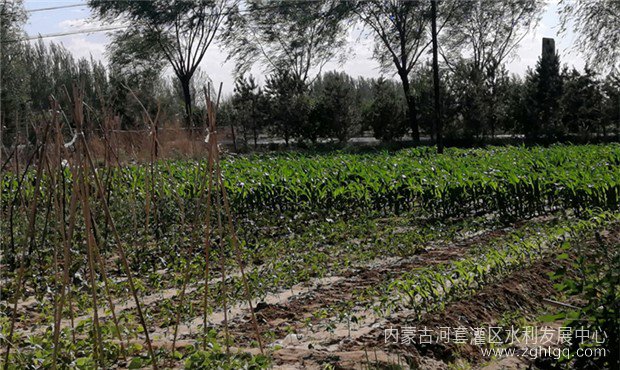 微信图片_202207111827509_副本.jpg