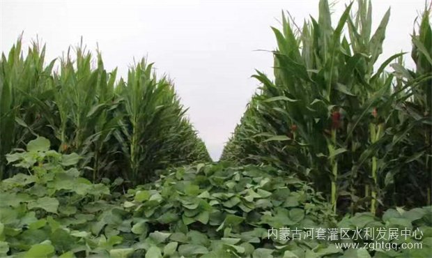 306419f06e5d11c56c9f2767a927ca5_副本.jpg