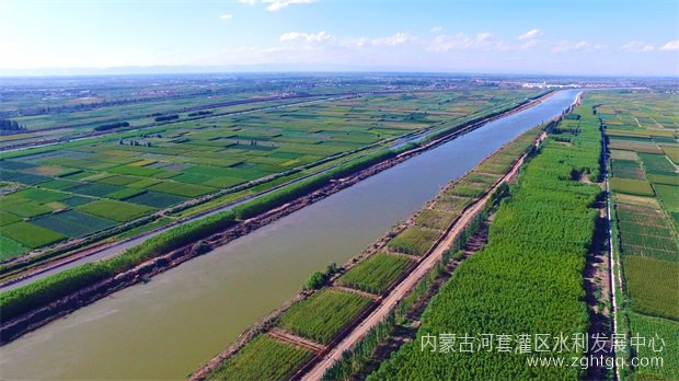 绿树成荫的总干渠两岸.jpg