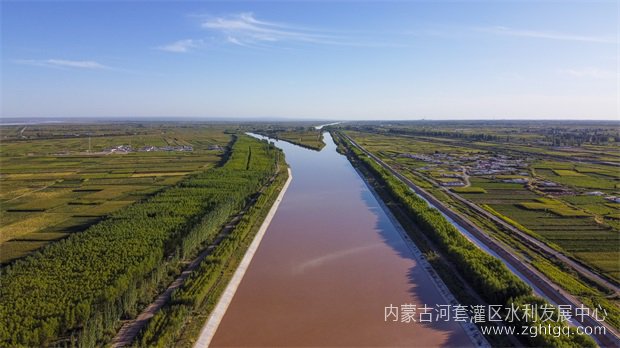 总干渠林带.jpg