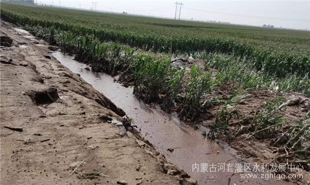 微信图片_202208021850545_副本.jpg