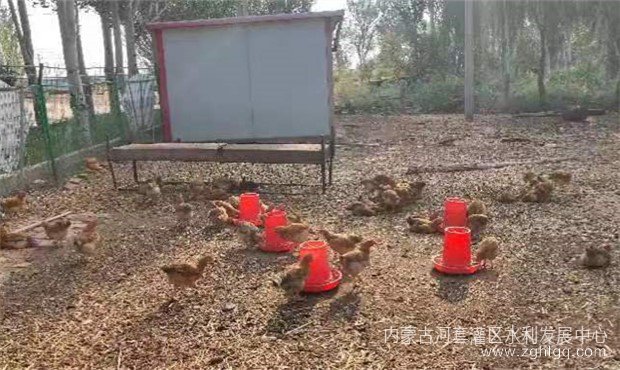 1 (10)_副本.jpg