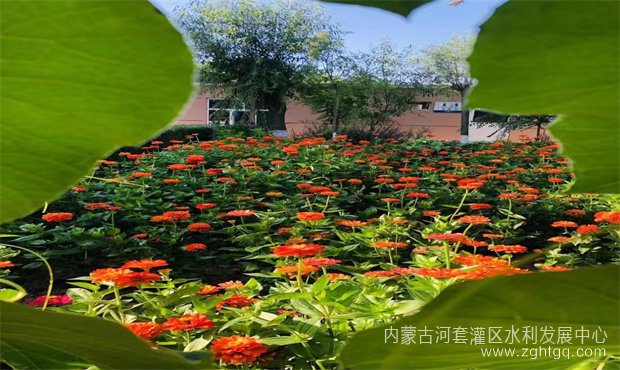 6a442a0f3838a8ea0749181db80f72d_副本.jpg