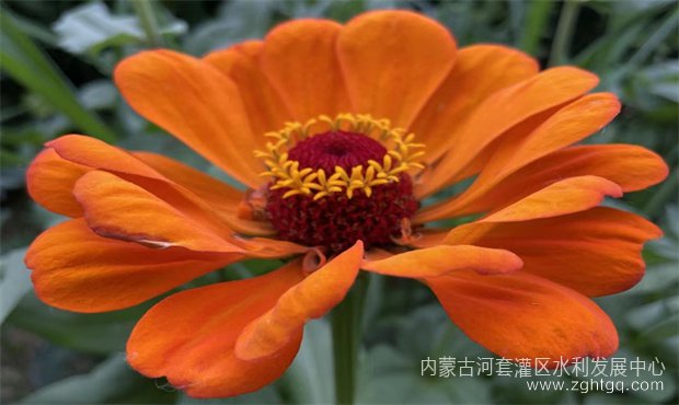 79eb7507377a6305791e77599ef134f_副本.jpg