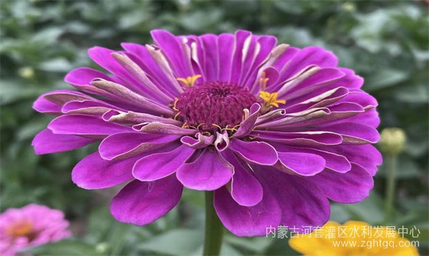 f24ddf87bffd528abb0f23bbd792087_副本.jpg