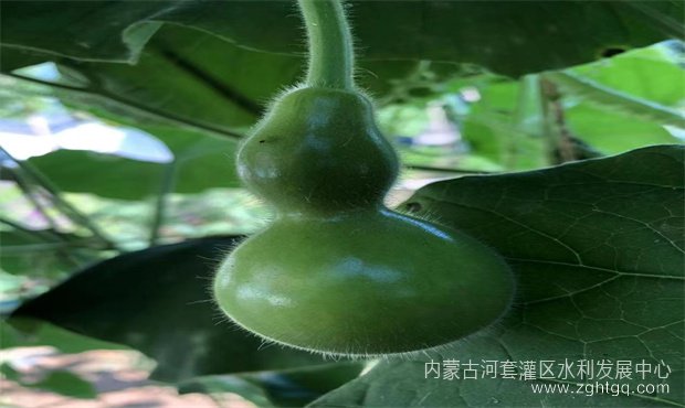 76dc2549a83d03f4d35ea64c894eb31_副本.jpg