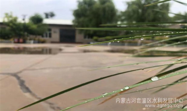 8e48938a106cb291ce8b8ca7b395c30_副本.jpg