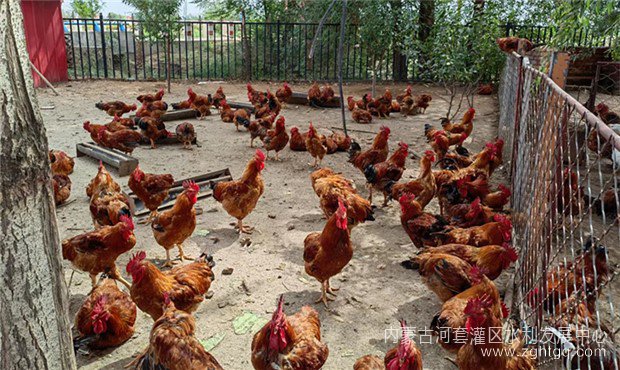微信图片_202208111903183_副本.jpg