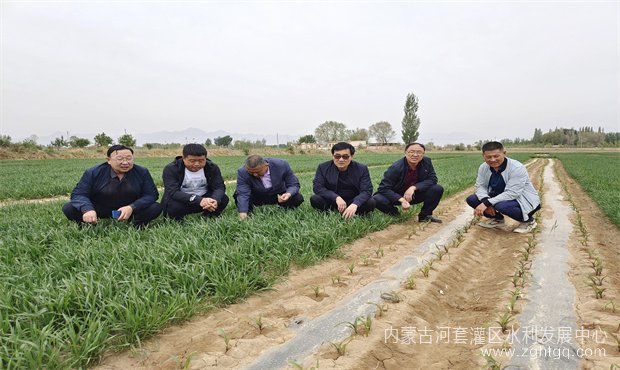 d95a32f056c13ef64ac46254587843a_副本.jpg