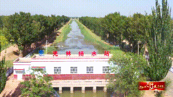 光林.gif