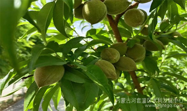 e9500e9fe20fd233365fb7c8fac47f0_副本.jpg